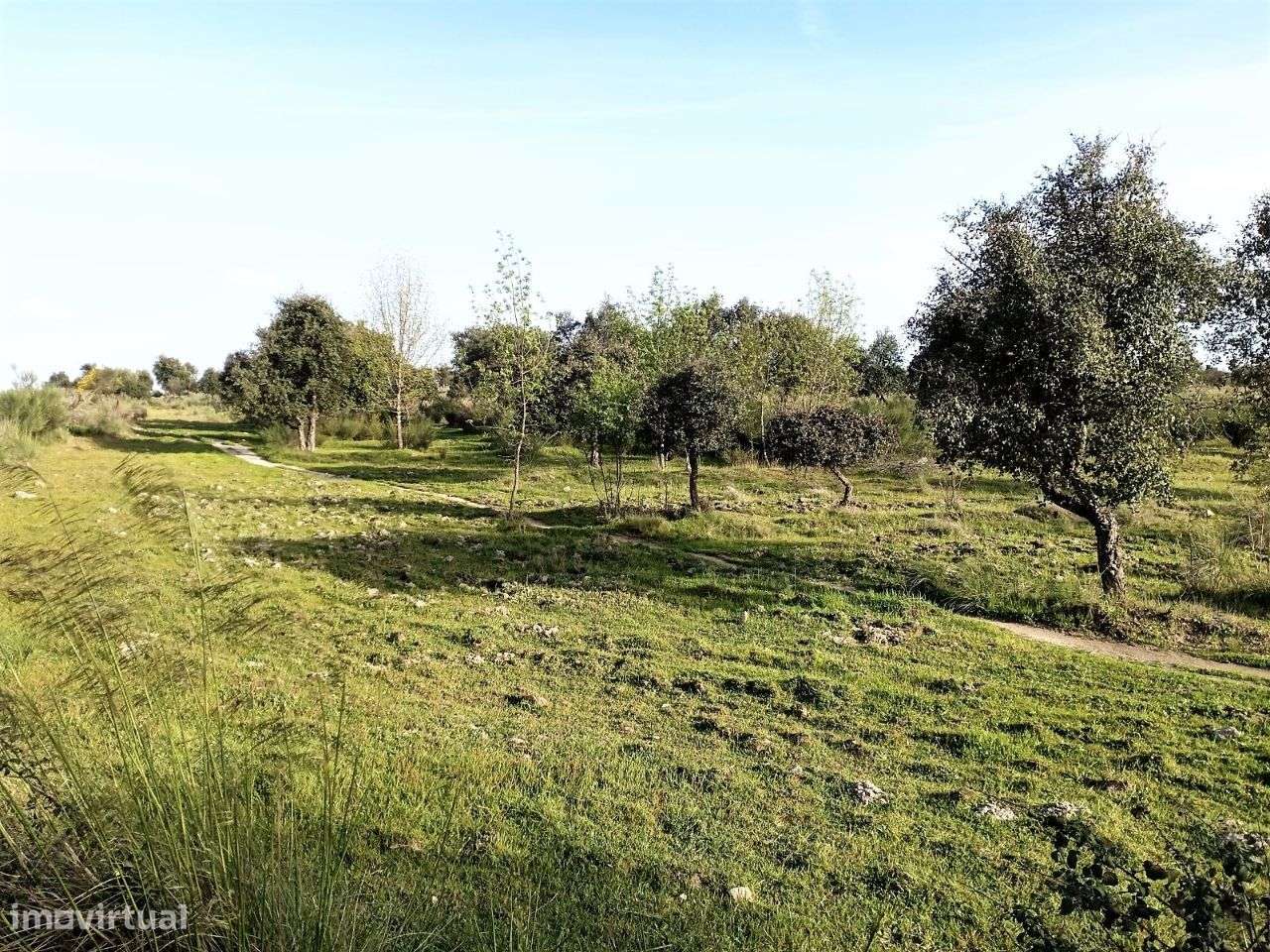 Terreno - Grande imagem: 2/5