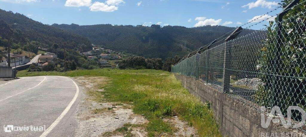 Terreno para construção em Negrelos (São Tomé) de 31109,00 m2 - Grande imagem: 4/29
