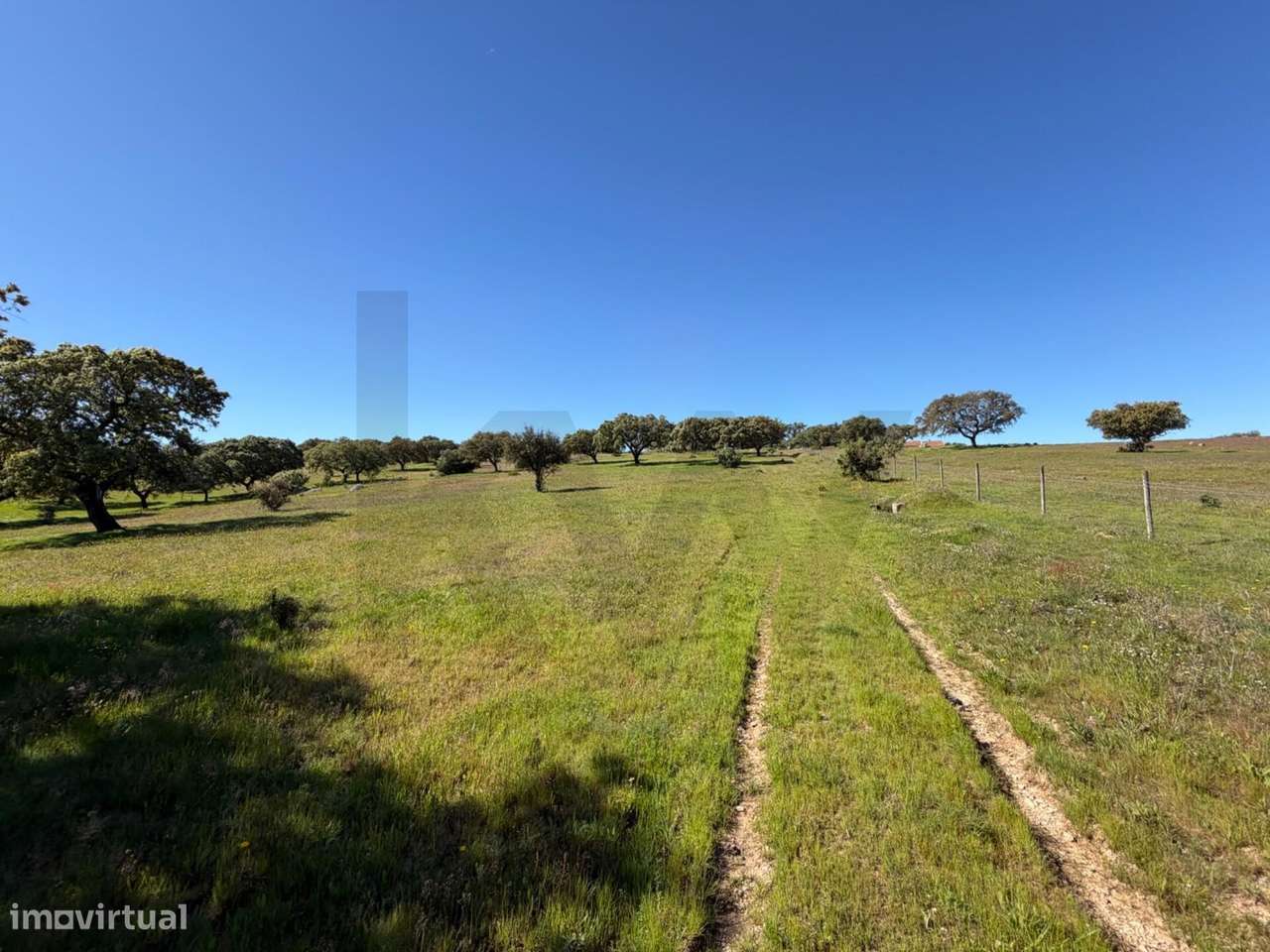 Onde a arquitetura se funde com a natureza: O seu refúgio na Herdade V - Grande imagem: 2/32