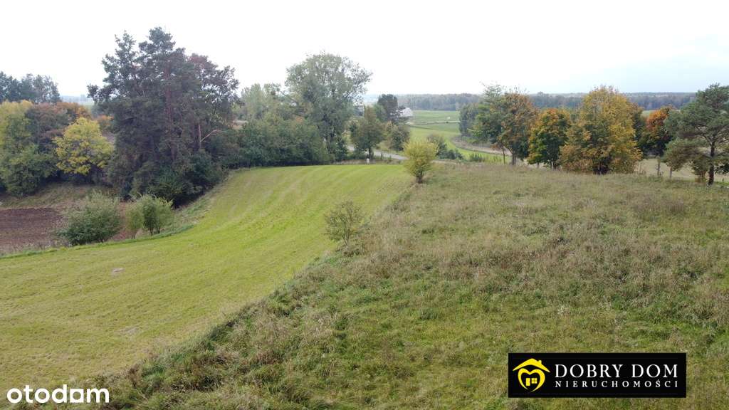 Piękna działka rolna 4,1 ha nad jeziorem-gmina Giby-11