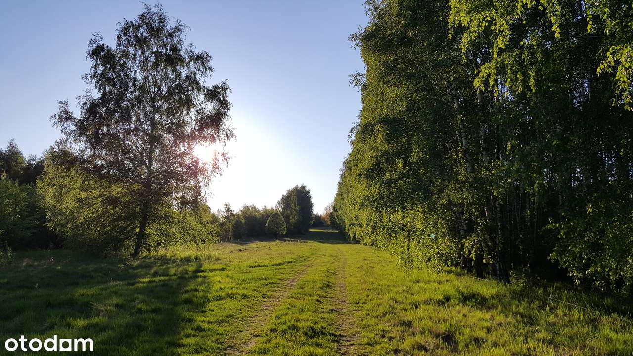 Piękna działka w Parku Krajobrazowym 10 min od Łodzi - Pełny obrazek: 4/5