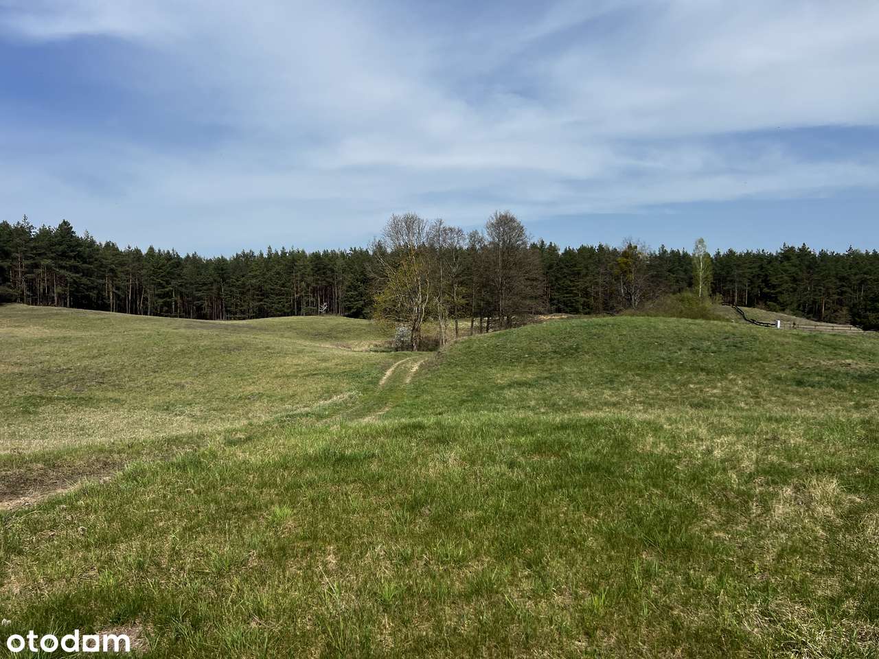 Prywatne Mazury - 4,27ha z linią brzegową jeziora Tałty-6