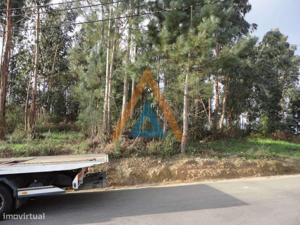 Terreno para construção em São Miguel do Souto - Grande imagem: 5/8