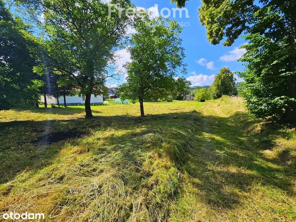 Działka inwestycyjna 5093 m² Łęki Dukielskie - Pełny obrazek: 5/9