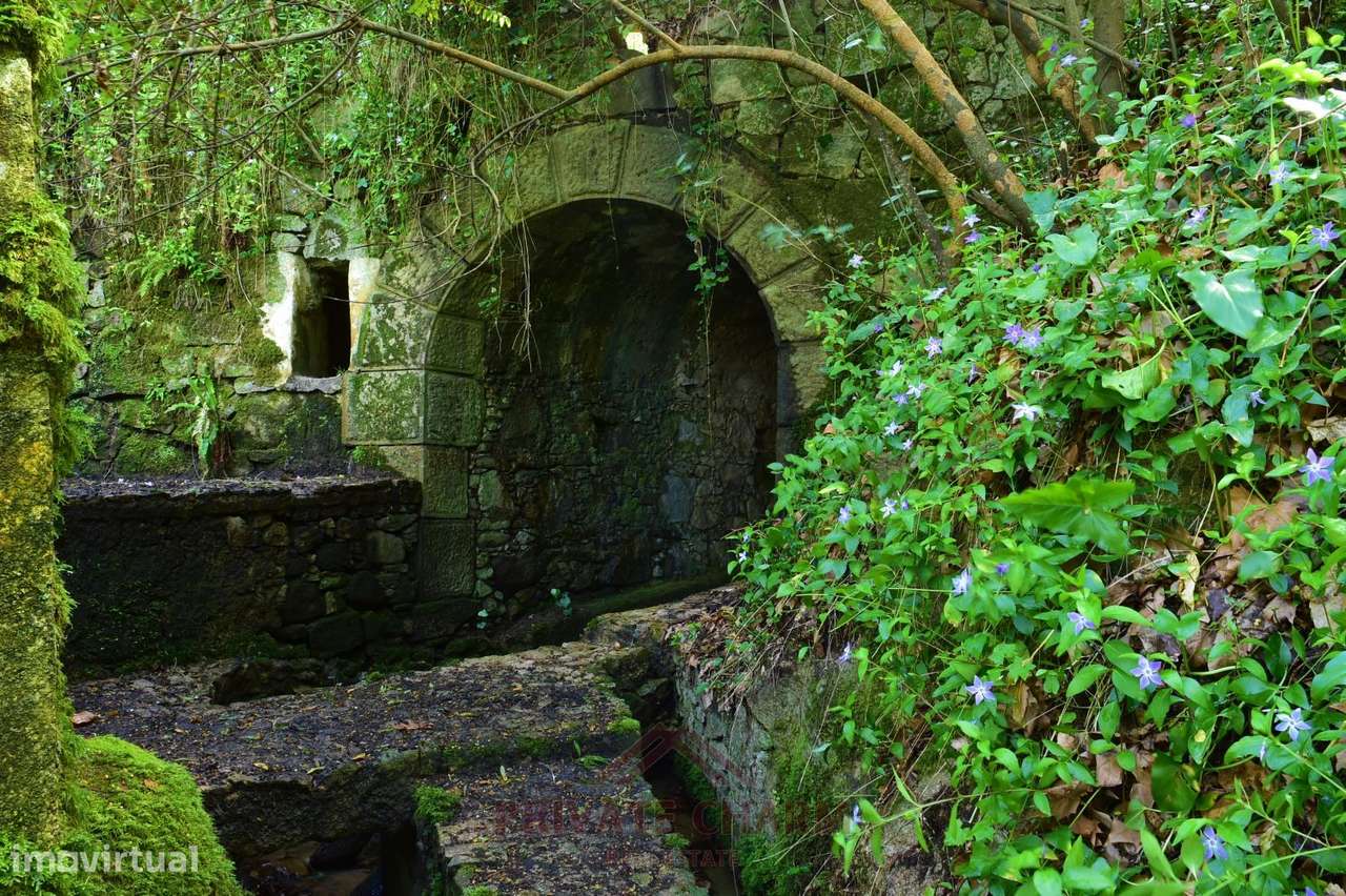 Quinta com área total de terreno 7.650m2 - Grande imagem: 2/46