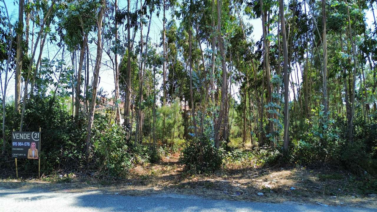 Terreno para construção em Pombal - Grande imagem: 4/21