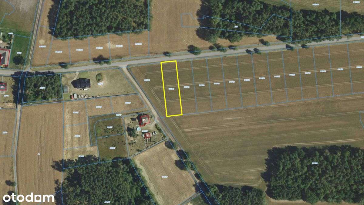 Działka Zborowskie gaz kanalizacja woda blisko las-11