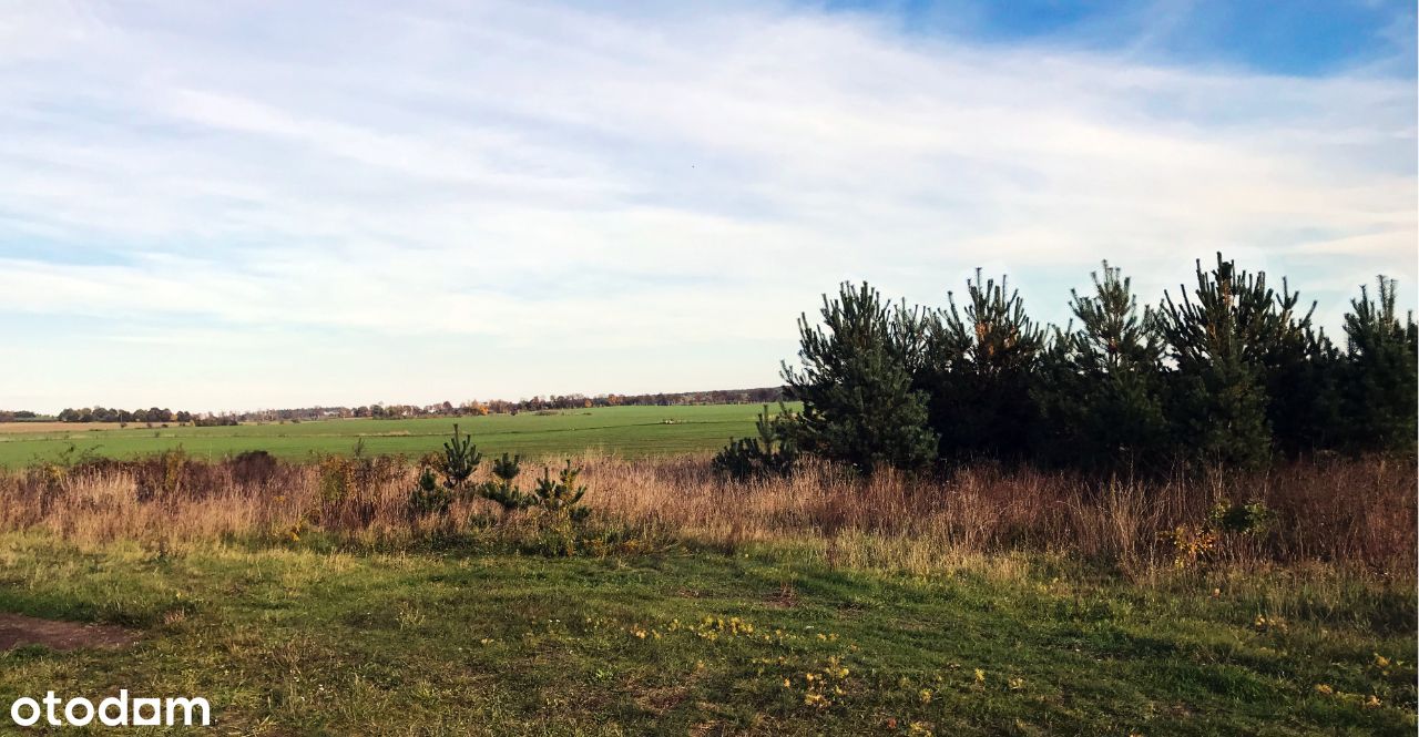 Działka budowlana, Sulechów (Brzezie), 1600m