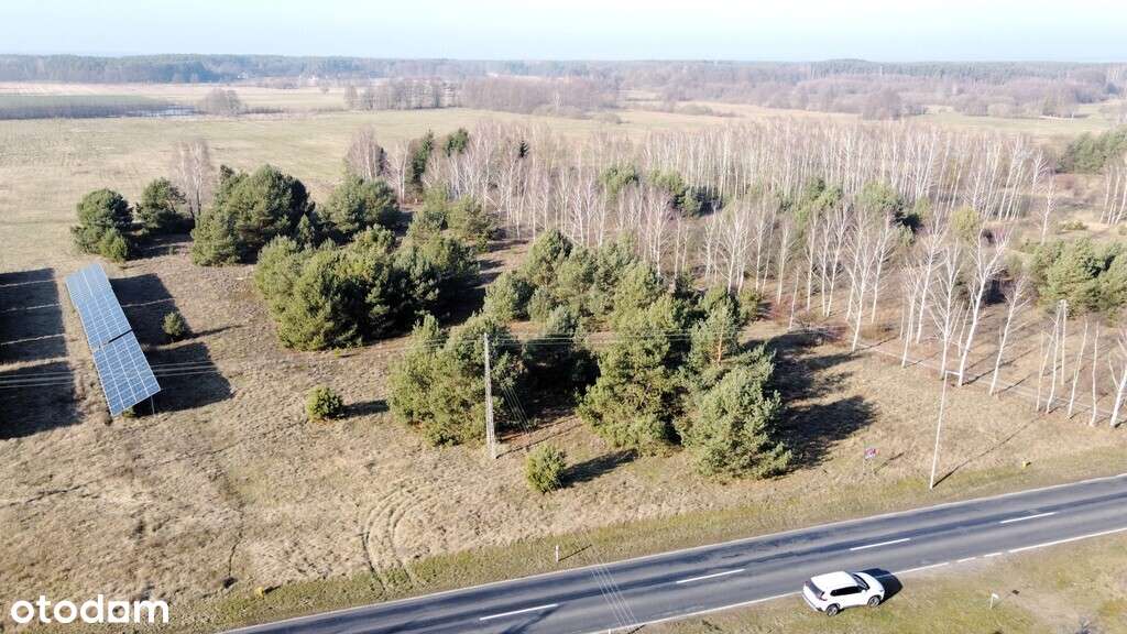 258/4058/OGS - Pełny obrazek: 4/11