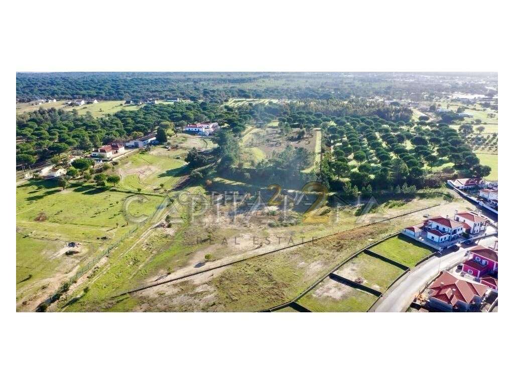 Herdade do Biscainho | 2,6 Hectares de Terreno - Grande imagem: 4/8