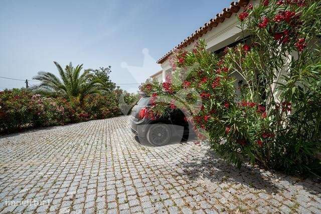 Quinta  com piscina, área 5375m2-34
