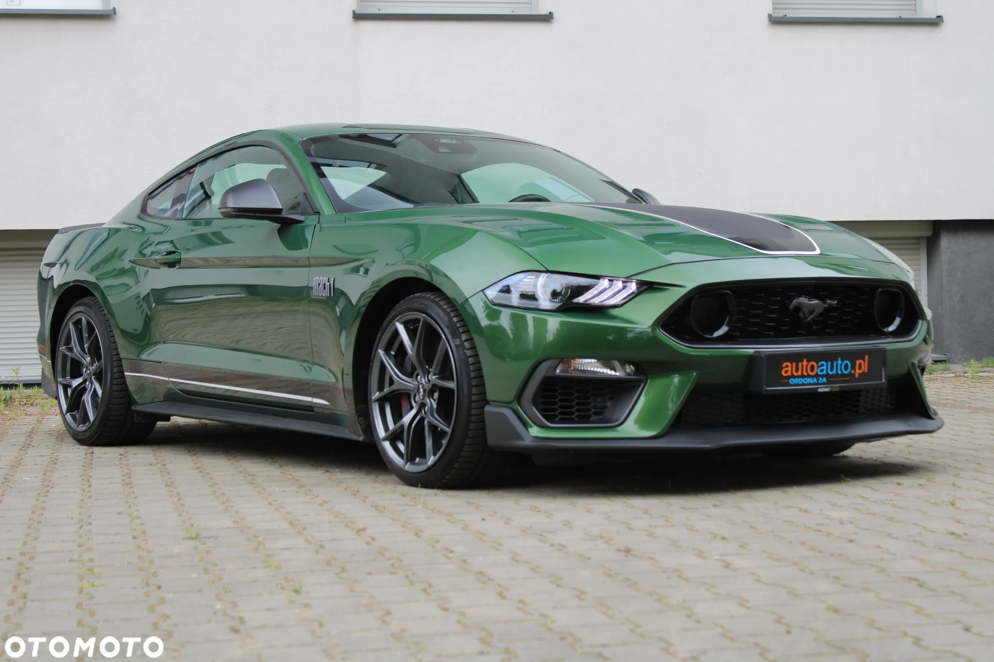 Ford Mustang 5.0 V8 Mach 1 - 2