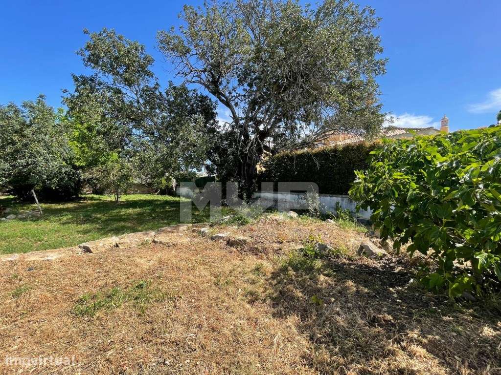 Quinta com 3 quartos e forno em Santa Bárbara de Nexe, Faro.-42
