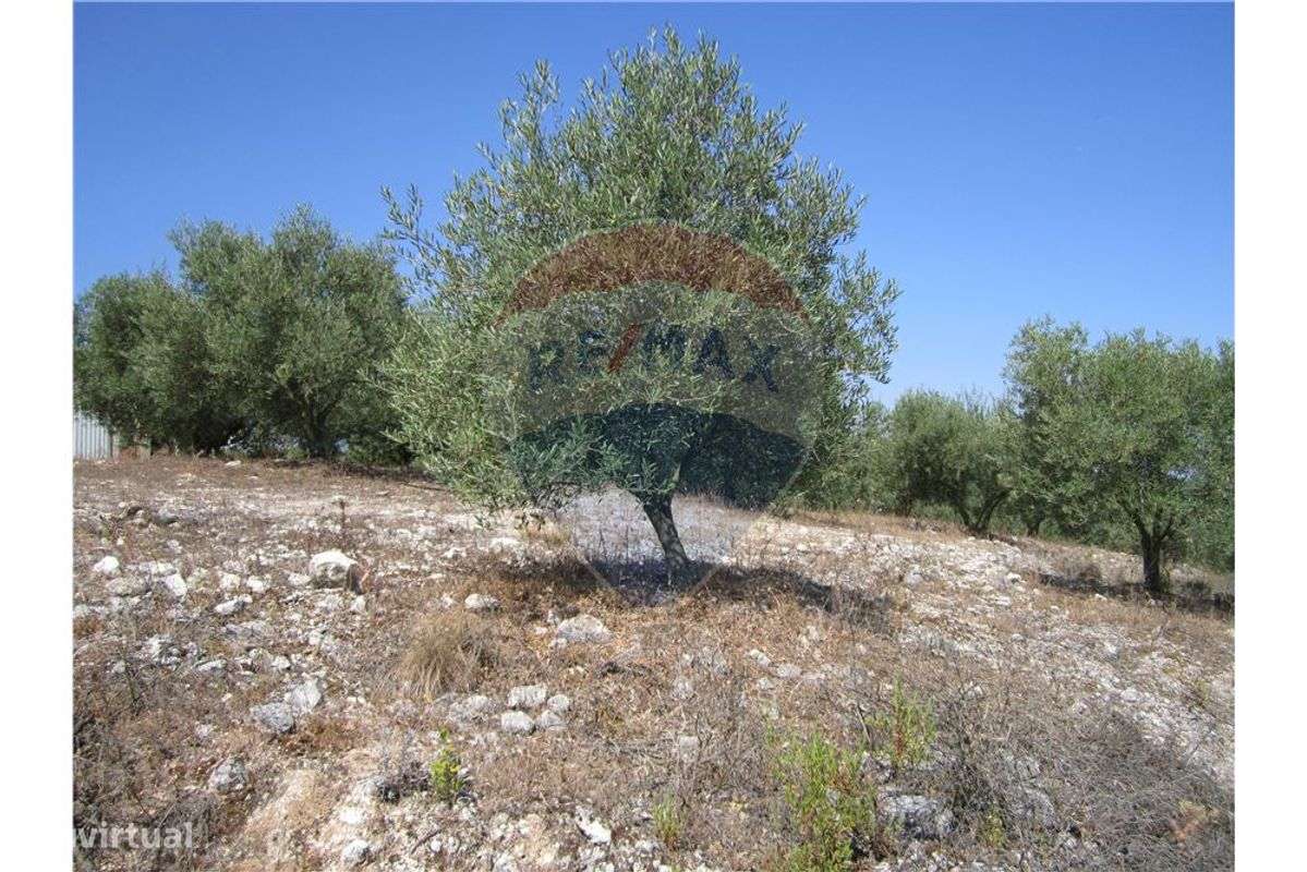 Terreno  para venda - Grande imagem: 4/49