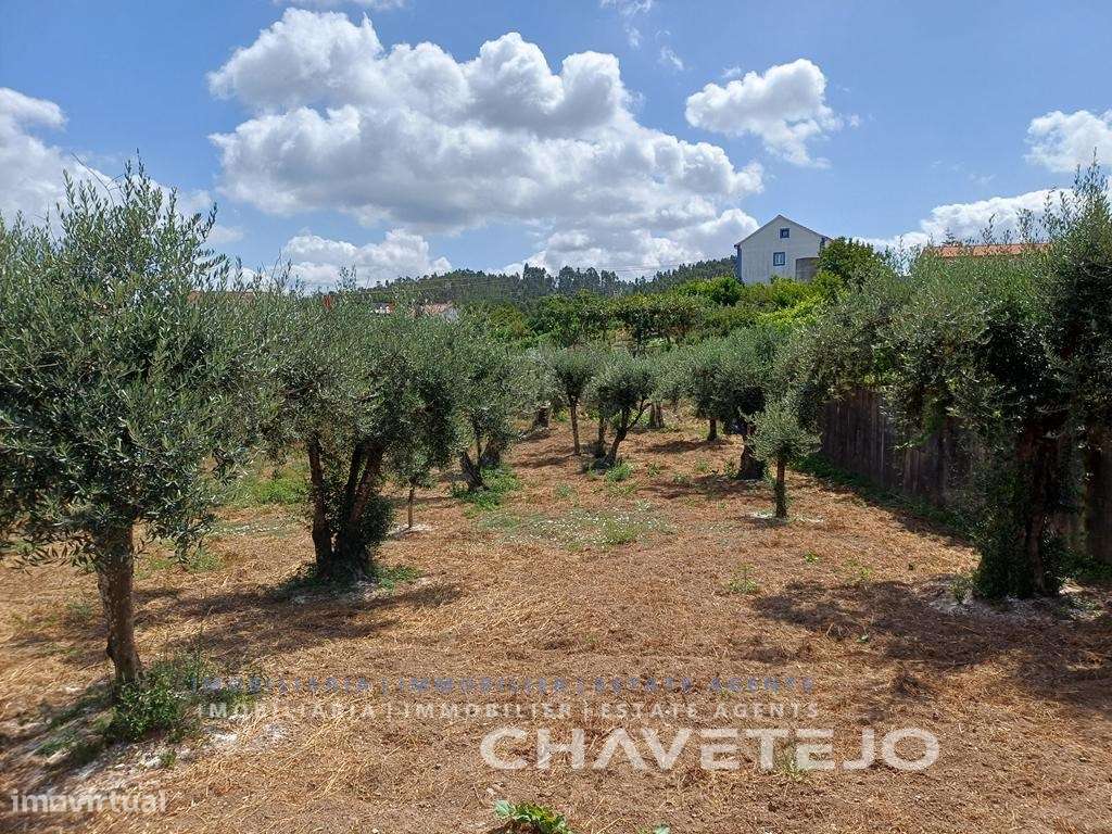 Moradia de Campo com Terreno, Furo de Água e Olival-47