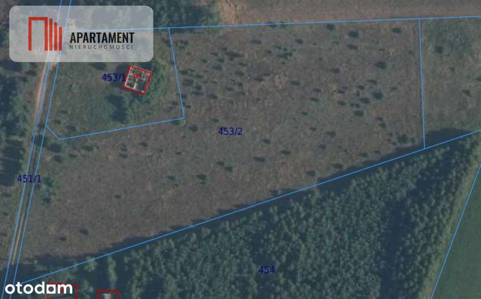 Działka przy bocianim gnieździe Bory Tucholski - Pełny obrazek: 5/5