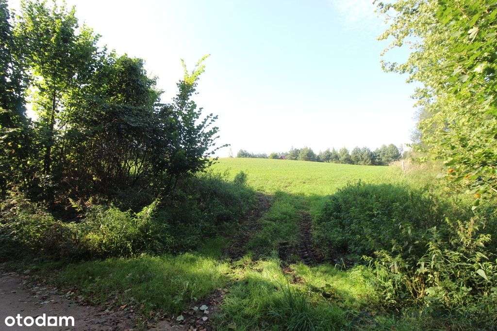 Działa przy jeziorze Łąkorz-11