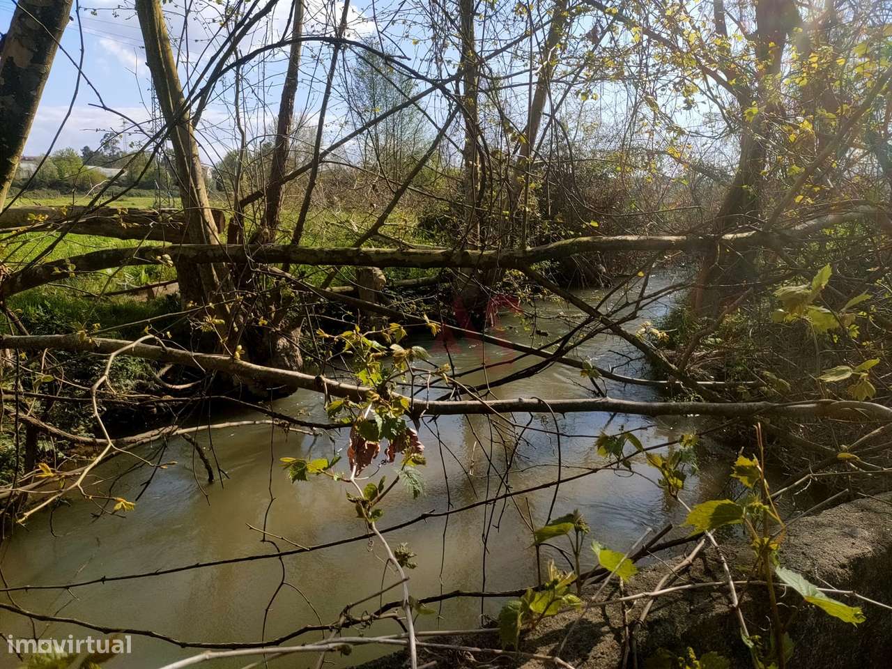 Terreno Rústico com 36.200 m² em Nevogilde, Lousada - Grande imagem: 5/12