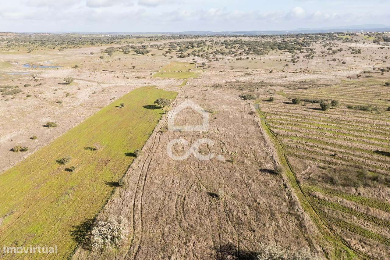 Terreno de 5,4 ha c/ Viabilidade de Construção | Capelins, Alandroal-17