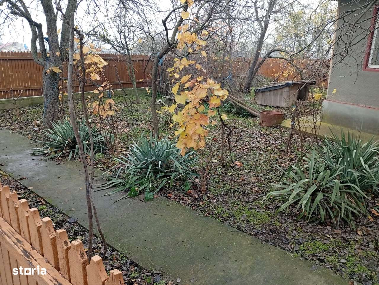 Ceamurlia de Jos- zona centrala- casa locuibila-5