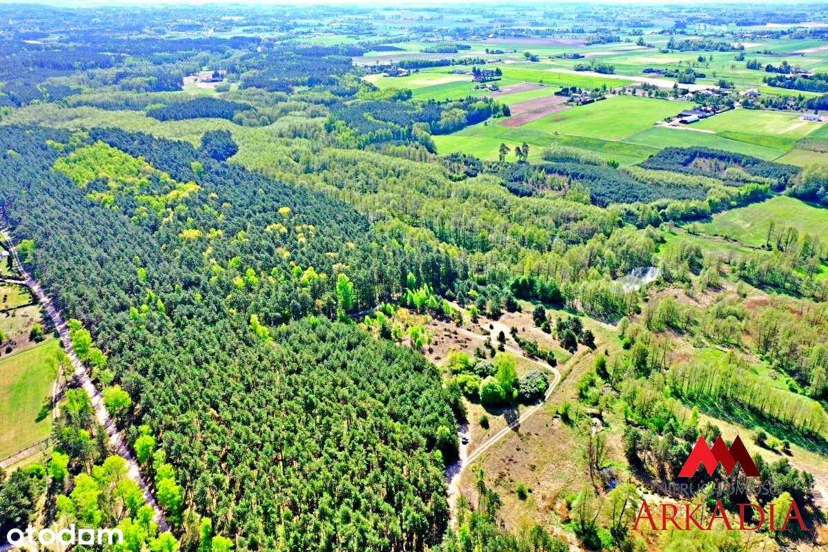 Działka Maliszewo/Lipno - Pełny obrazek: 5/7