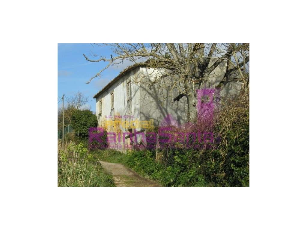 Quinta com casa para recuperar - Cernache - Grande imagem: 2/9