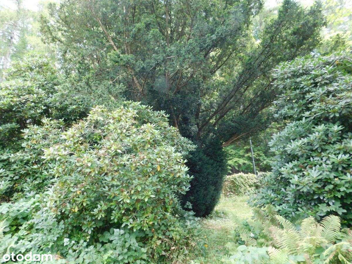 Apartament Kudowa-ZdrÓj Ul Moniuszki-19