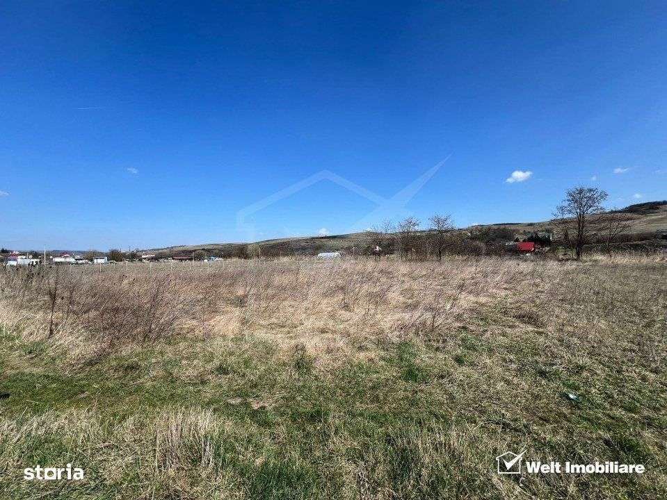 Teren intravilan, 1860 mp, cartierul Sopor - Imagine principală: 4/4