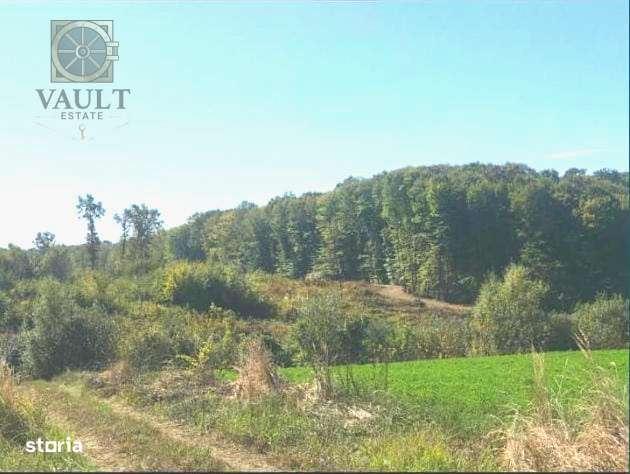 Teren - Snagov -900MP - Imagine principală: 5/9