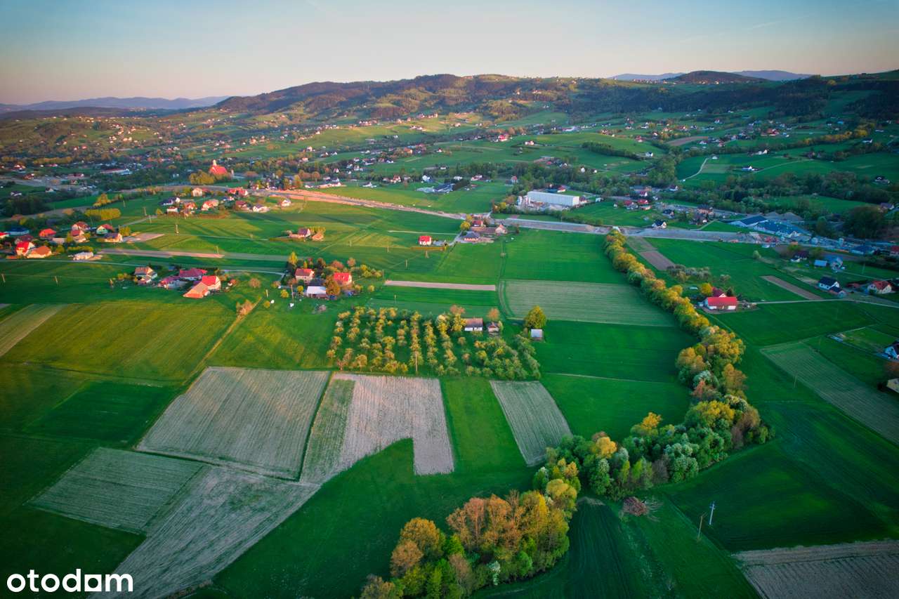 Działka INWESTYCYJNA 1,31 ha w trakcie przekształcenia - Pełny obrazek: 4/5