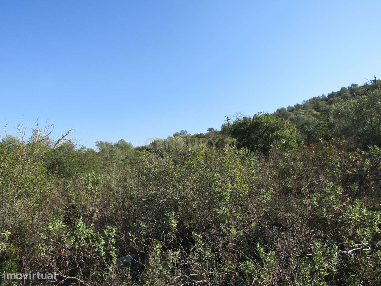 Terreno Rústico - Grande imagem: 5/8