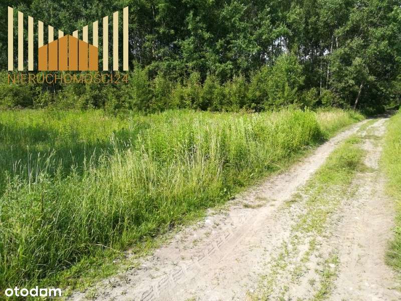 619339 - Pełny obrazek: 5/6