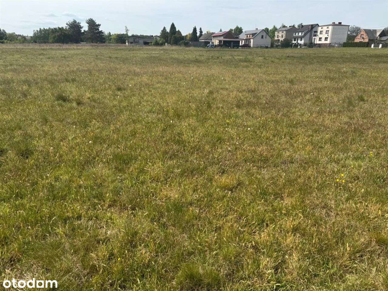 Działka, 7 779 m², Węglowice - Pełny obrazek: 4/4