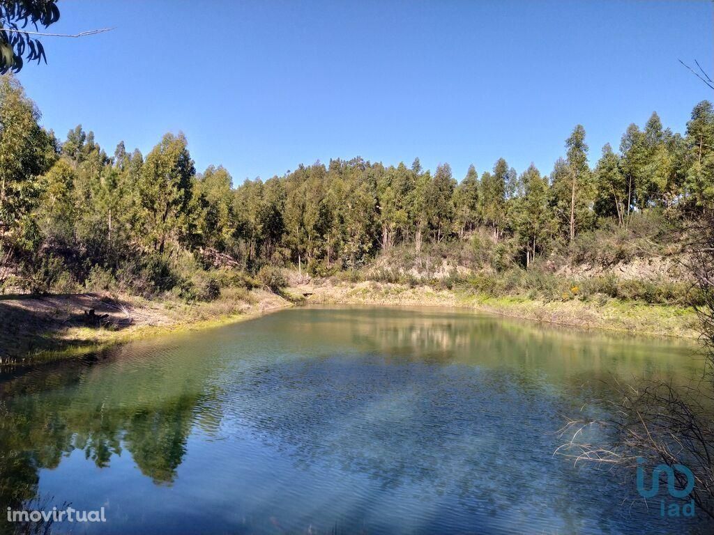 Terreno de Lazer em Faro de 95480,00 m2