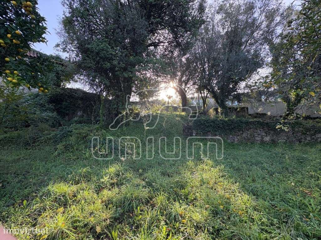 Propriedade para recuperar em Deão-14