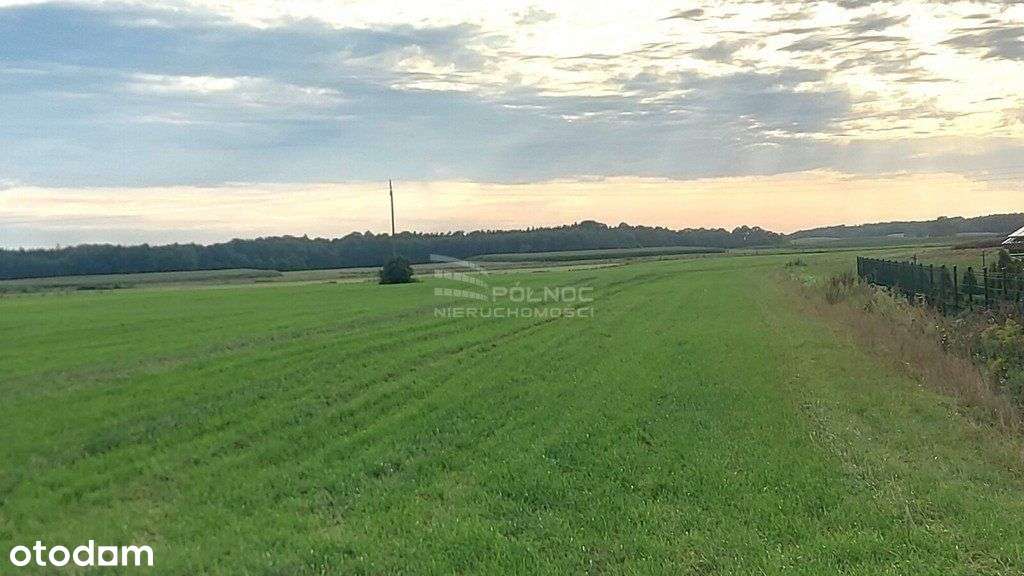 Działka rolna, Piecki, powiat Mrągowo - Pełny obrazek: 5/6