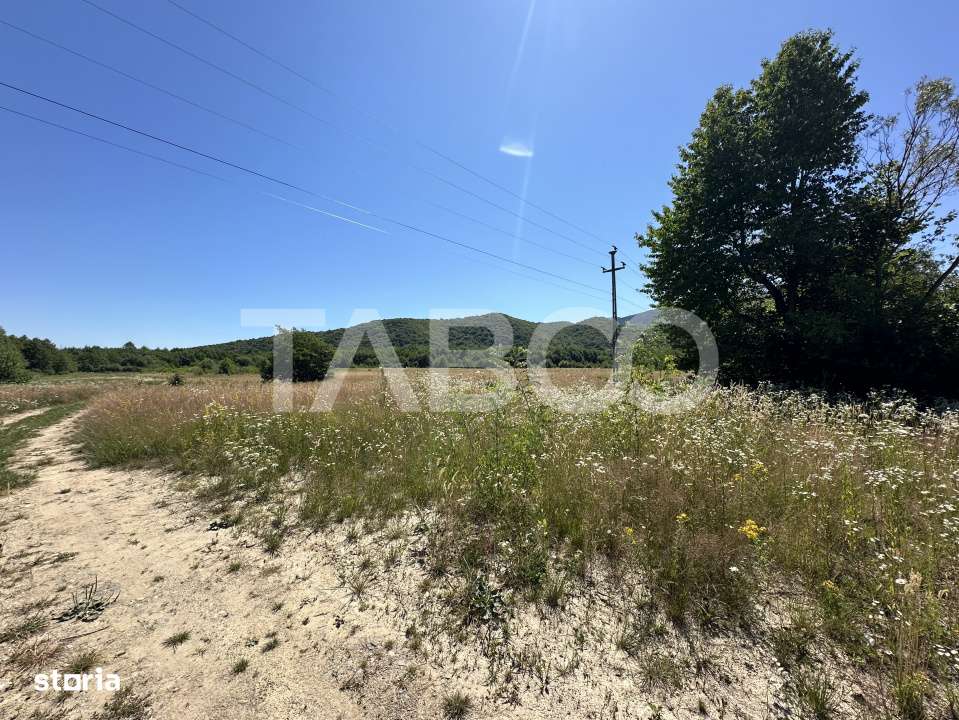 Teren extravilan 1900 mp cu utilitati in apropiere pe Valea Sebesului - Imagine principală: 2/3