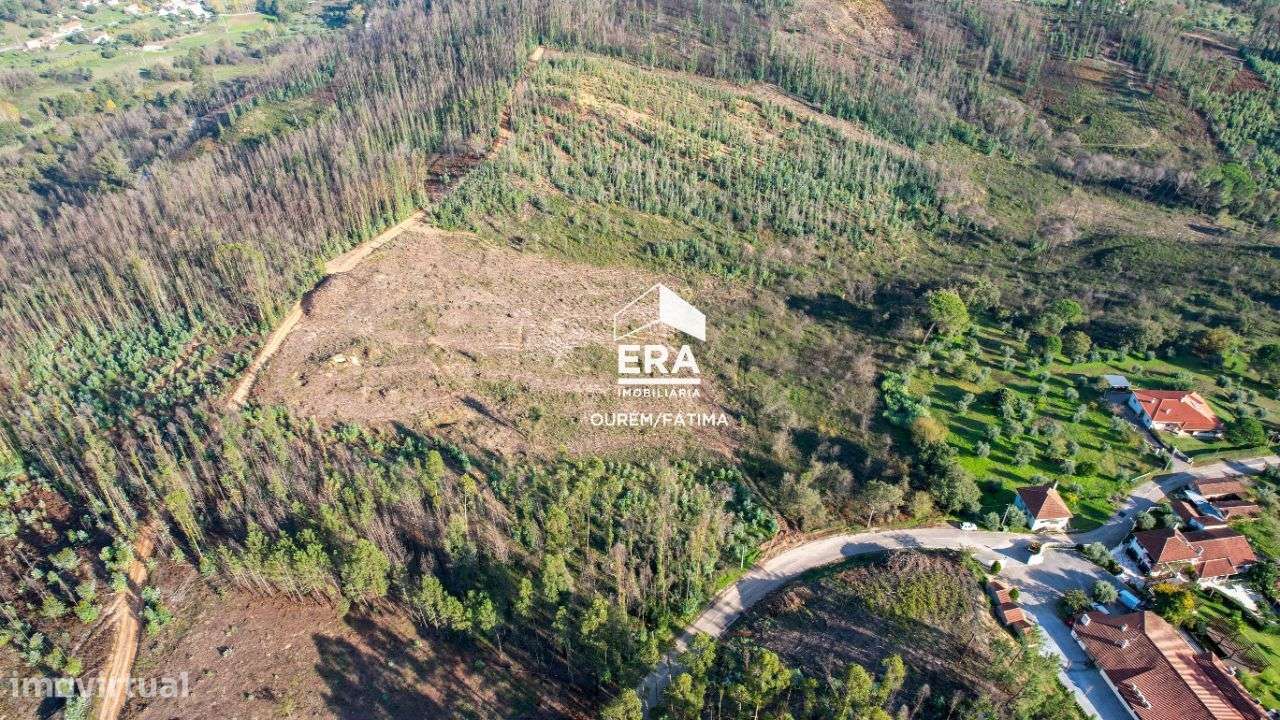 Terreno para Construção localizado no Olival - Grande imagem: 4/22