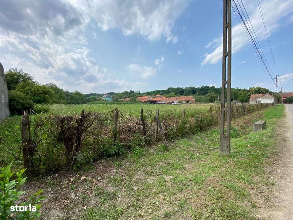 Teren Zgribesti numai 5 euro/mp - Imagine principală: 4/5