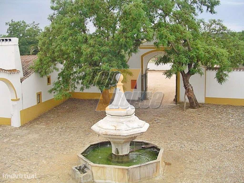 Quinta de turismo Rural - Elvas - Grande imagem: 3/50