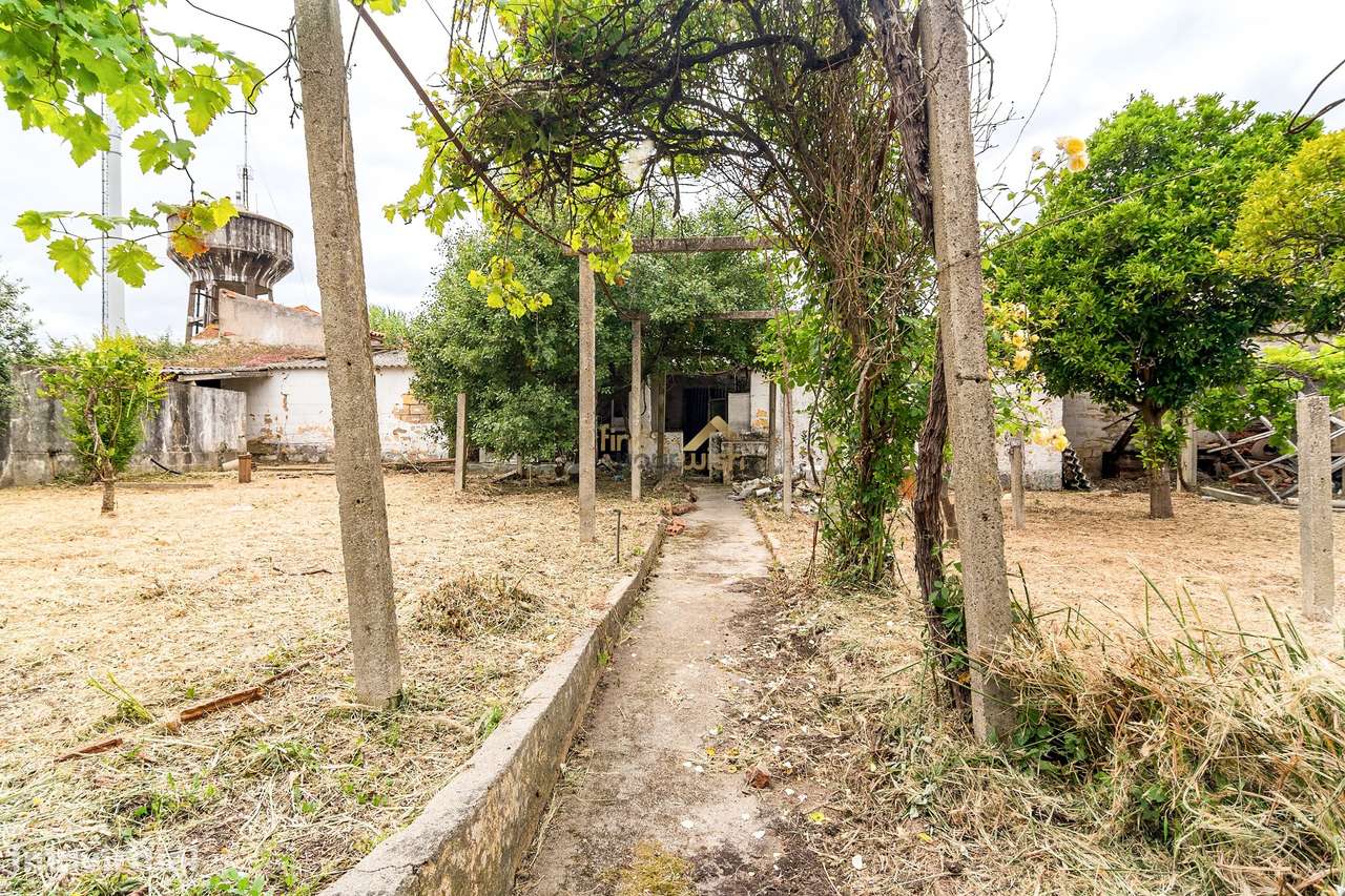 Moradia T3 com Terreno de 2.270m² no Centro do Entroncamento-35