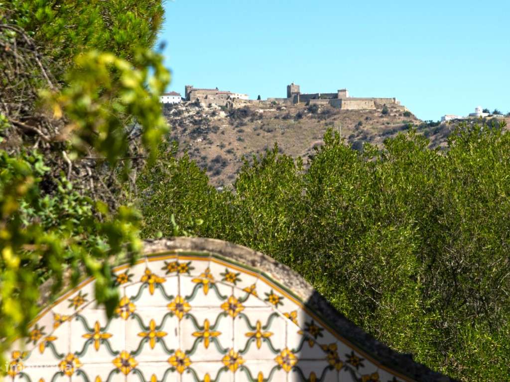 Quinta antiga, 13 ha, Investimento, Setúbal - Grande imagem: 4/39