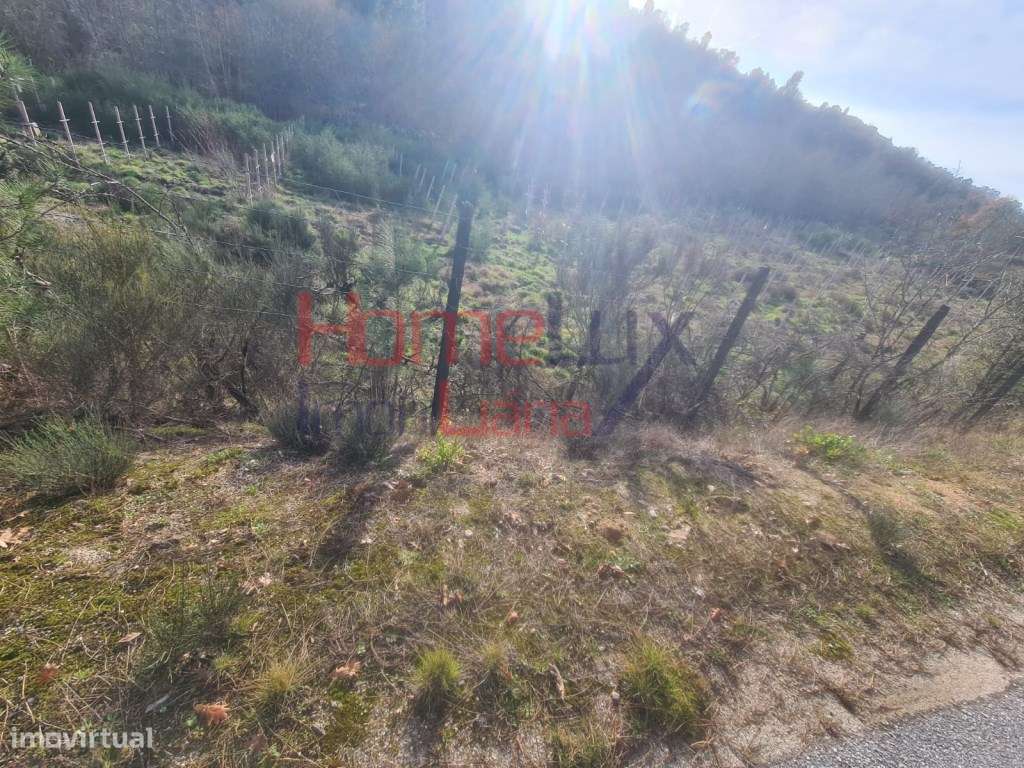 Quinta Agrícola do Dão para venda - Grande imagem: 5/39