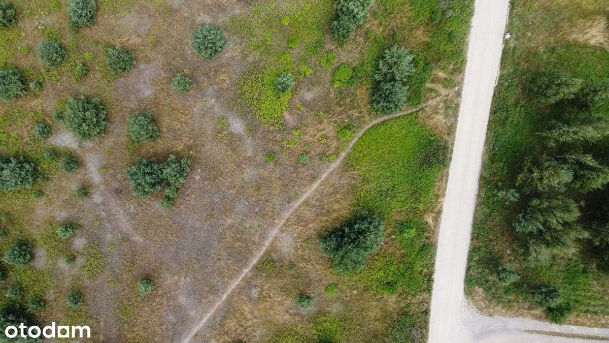 Działka wśród zieleni - Pełny obrazek: 4/6