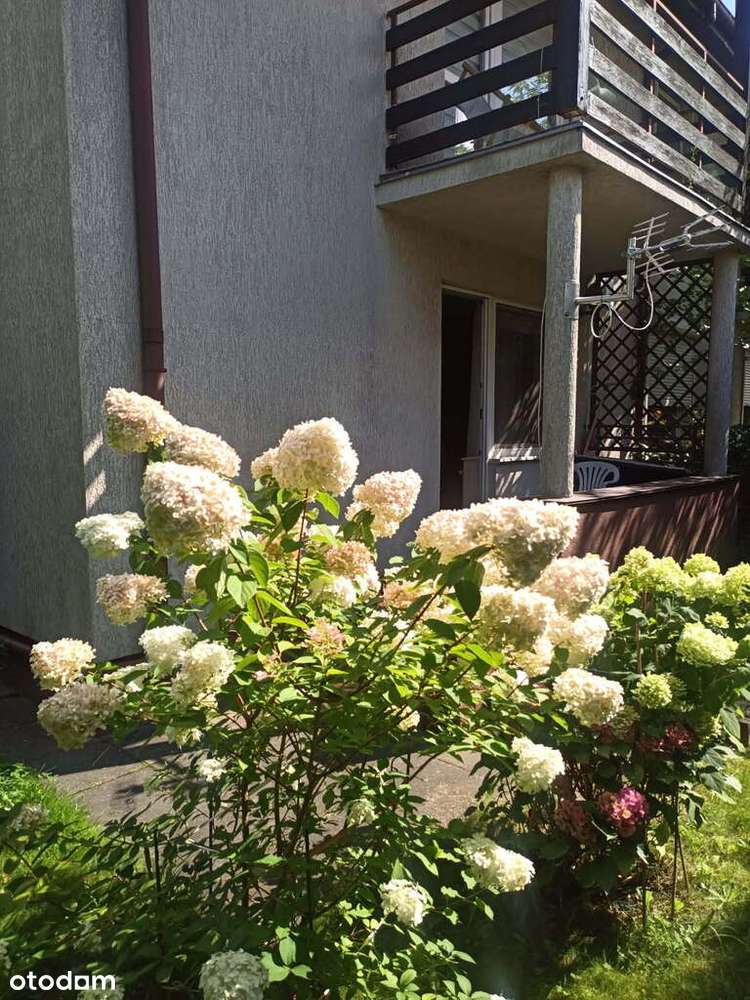 Mieszkanie z dużym ogrodem 101m2-5