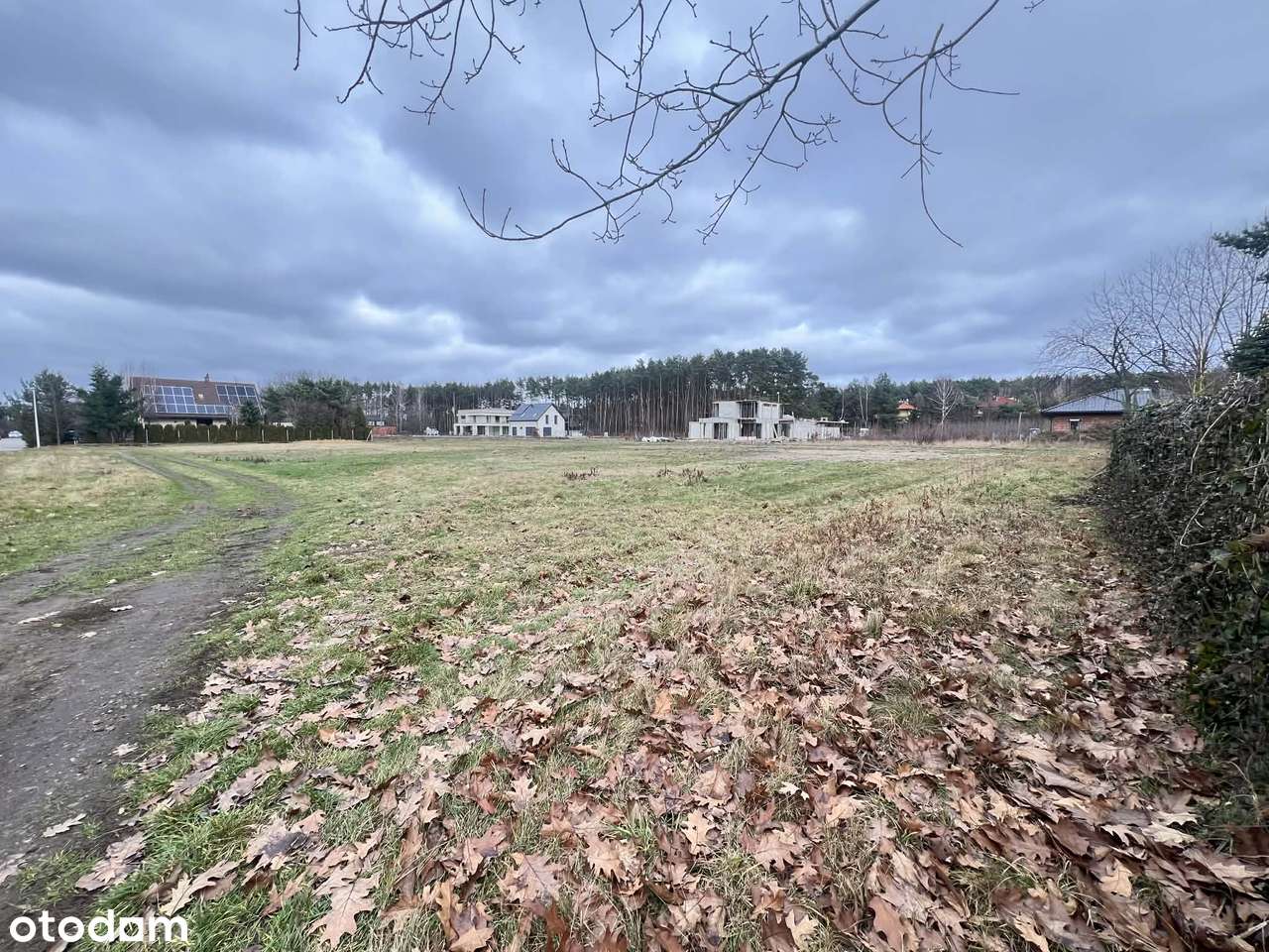 Działka Budowlana - Pełny obrazek: 2/3
