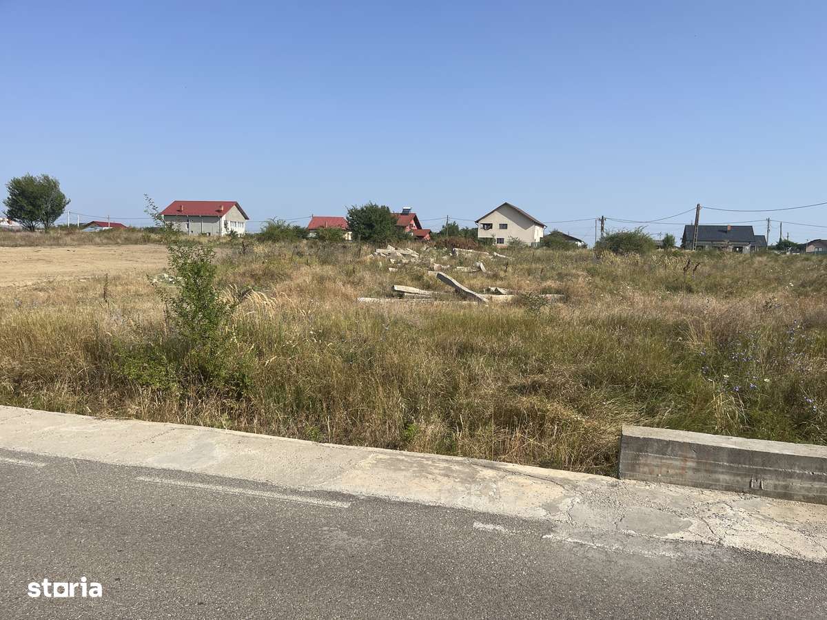 Teren 1139mp Albota - Imagine principală: 2/7