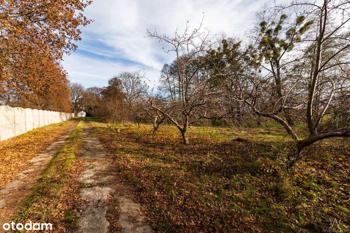 Wyjątkowy Dwór Z Prywatnym Parkiem-12