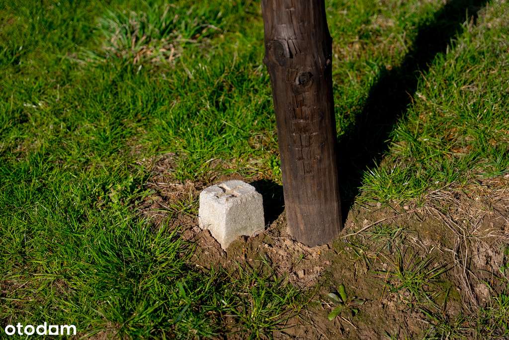 Ostatnia działka przy drodze Stare Czarnowo.-8