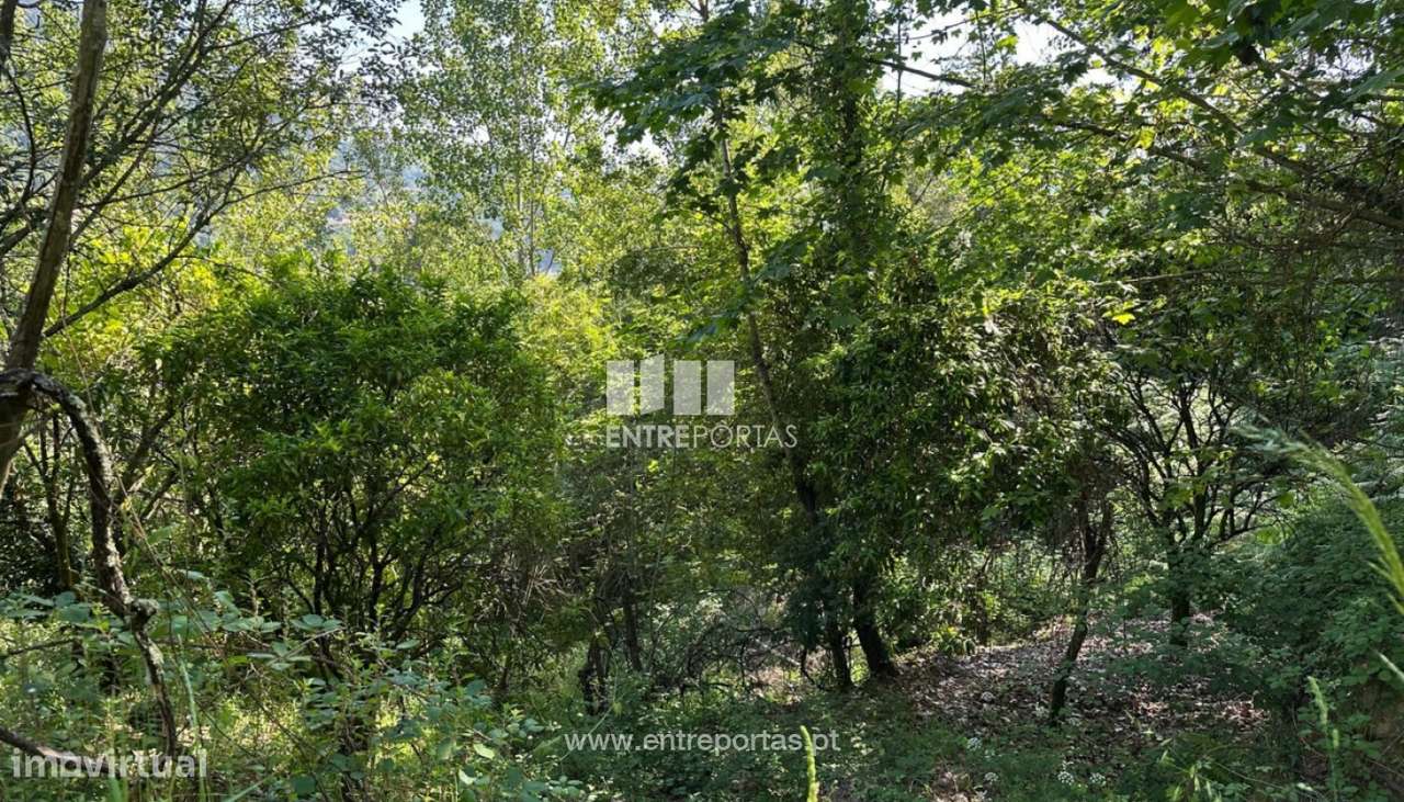 Venda Terreno, São Cristóvão de Nogueira, Cinfães - Grande imagem: 3/30